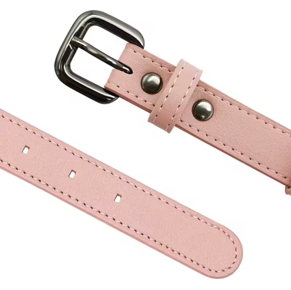 Tracker Hold Dog Collar
